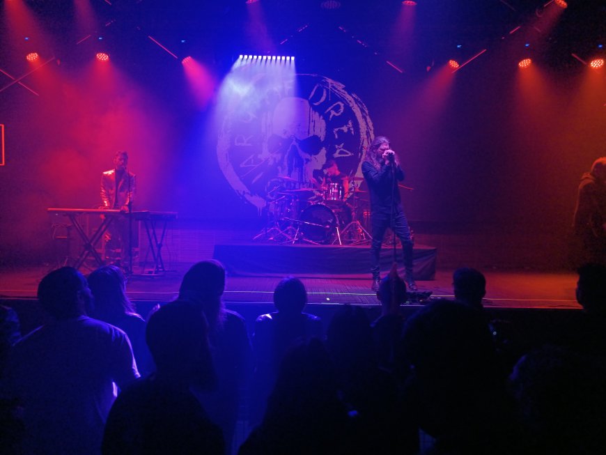 image_870x_6741f0f7da456.jpg