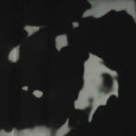 Shoot on Mom's Corpse