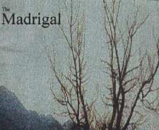 Undertow of Loneliness