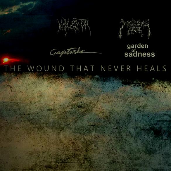 The Wound That Never Heals