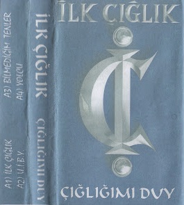 Çığlığımı Duy