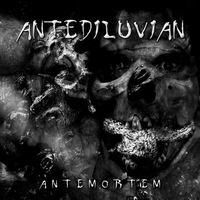 Antemortem