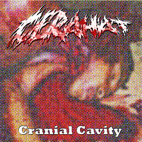 Cranial Cavity