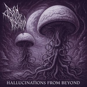 Hallucinations from Beyond