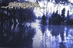 Under the Bleeding Trees