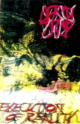 Execution of Reality