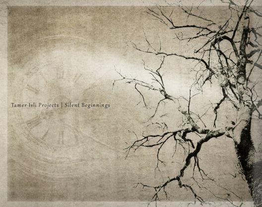 Silent Beginnings