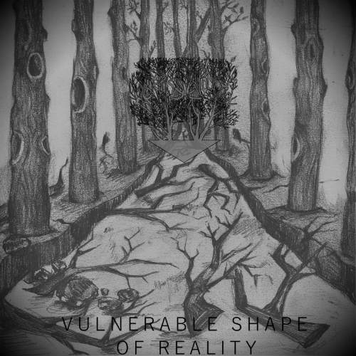 Vulnerable Shape of Reality