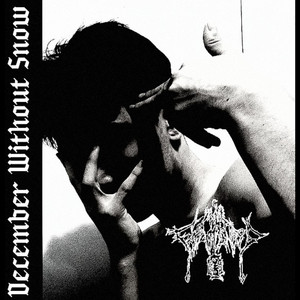 December Without Snow